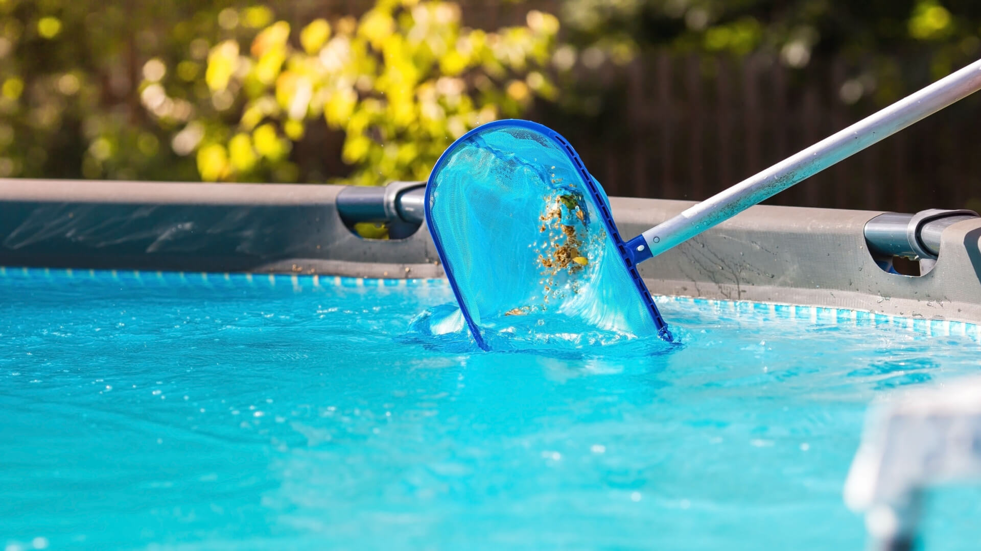 Pool Cleaning in San Diego